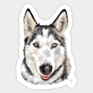 Husky Dog Pooch Pup Sticker
